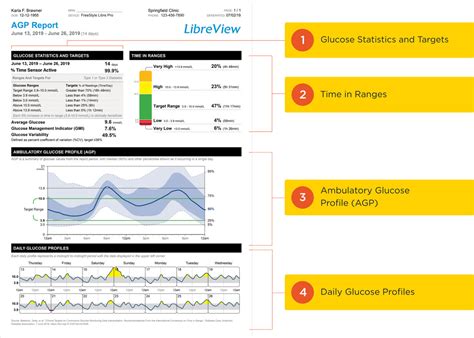 libreview reports